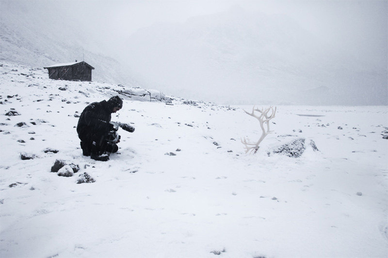 Glacier Study Group, Global Warming, Activists, Polar Bears, Ice Caps, Ice Floe, Arctic Circle, The North Pole, Expedition, Zhao Renhui, Institute of Critical Zoologists