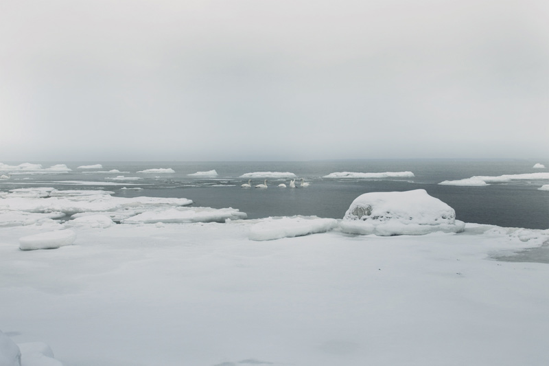 Glacier Study Group, Global Warming, Activists, Polar Bears, Ice Caps, Ice Floe, Arctic Circle, The North Pole, Expedition, Zhao Renhui, Institute of Critical Zoologists