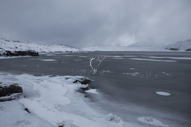 Glacier Study Group, Global Warming, Activists, Polar Bears, Ice Caps, Ice Floe, Arctic Circle, The North Pole, Expedition, Zhao Renhui, Institute of Critical Zoologists